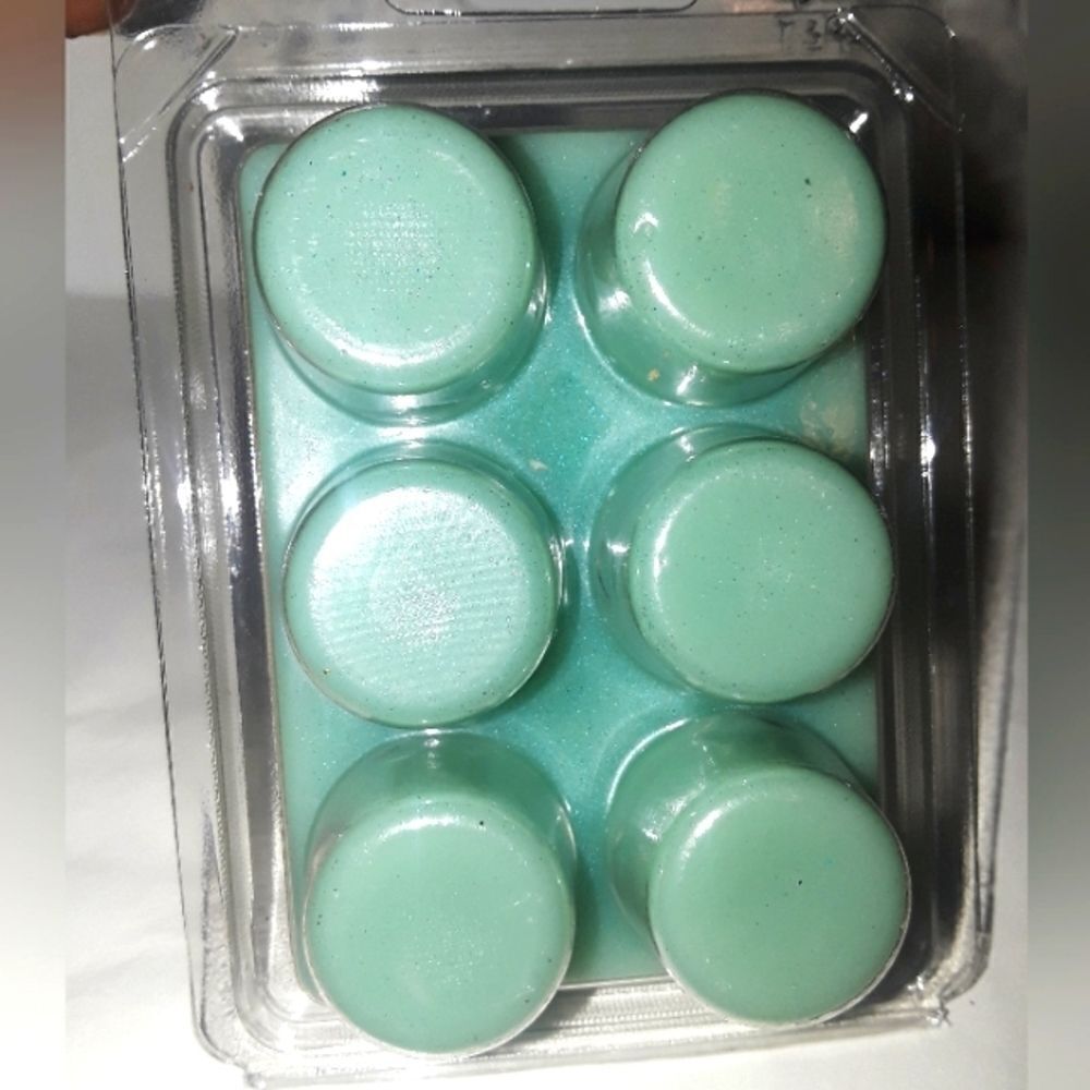 HANDCRAFTED brand new April Showers waxmelt glitter tarts 1pc